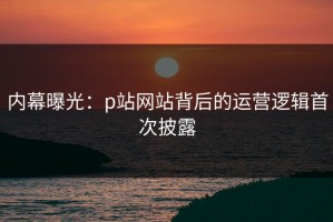 内幕曝光：p站网站背后的运营逻辑首次披露