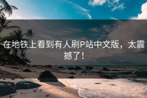 在地铁上看到有人刷P站中文版，太震撼了！