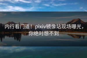 内行看门道！pixiv镜像站现场曝光，你绝对想不到