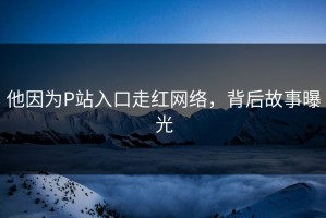 他因为P站入口走红网络，背后故事曝光