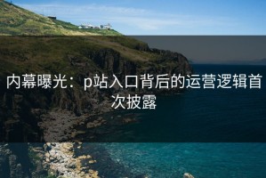 内幕曝光：p站入口背后的运营逻辑首次披露