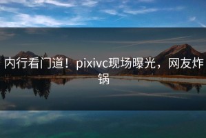 内行看门道！pixivc现场曝光，网友炸锅