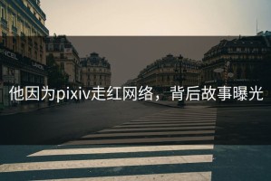 他因为pixiv走红网络，背后故事曝光