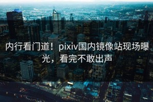 内行看门道！pixiv国内镜像站现场曝光，看完不敢出声
