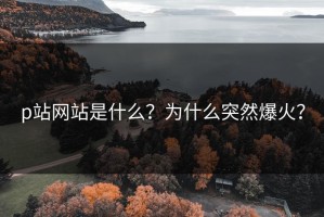 p站网站是什么？为什么突然爆火？
