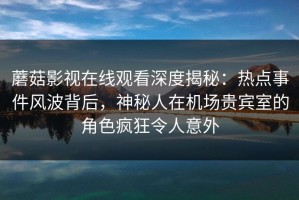 蘑菇影视在线观看深度揭秘：热点事件风波背后，神秘人在机场贵宾室的角色疯狂令人意外