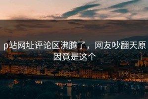 p站网址评论区沸腾了，网友吵翻天原因竟是这个