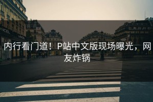 内行看门道！P站中文版现场曝光，网友炸锅