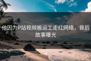 他因为P站视频搬运工走红网络，背后故事曝光