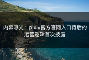 内幕曝光：pixiv官方官网入口背后的运营逻辑首次披露