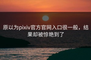 原以为pixiv官方官网入口很一般，结果却被惊艳到了