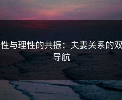 感性与理性的共振：夫妻关系的双向导航