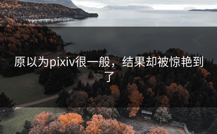 原以为pixiv很一般，结果却被惊艳到了