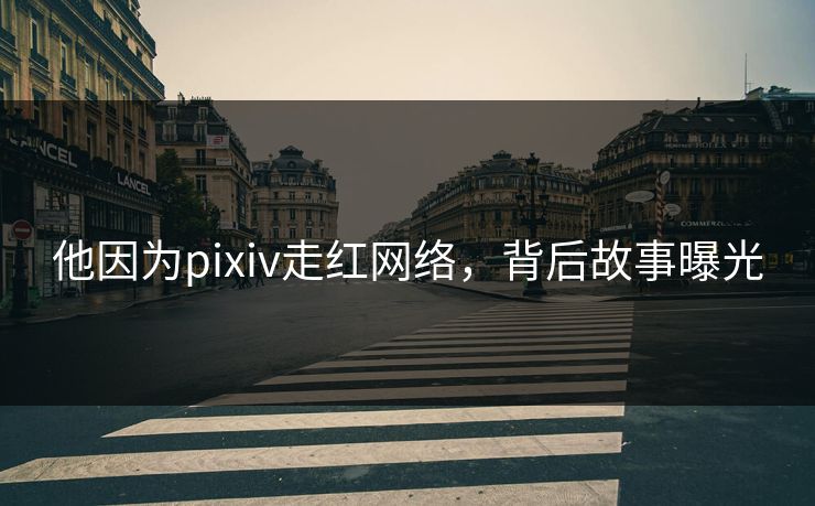 他因为pixiv走红网络，背后故事曝光