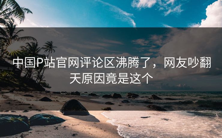 中国P站官网评论区沸腾了，网友吵翻天原因竟是这个