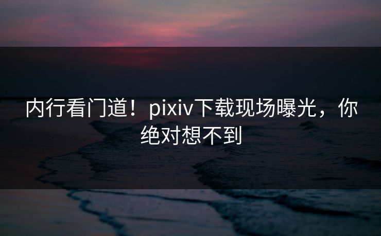 内行看门道！pixiv下载现场曝光，你绝对想不到