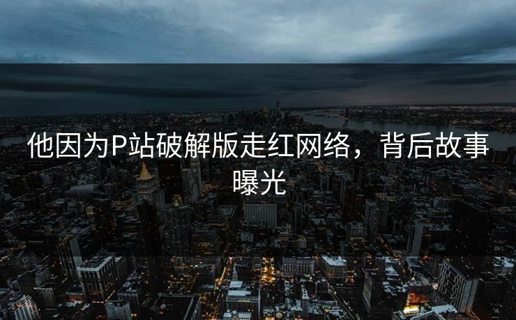 他因为P站破解版走红网络，背后故事曝光