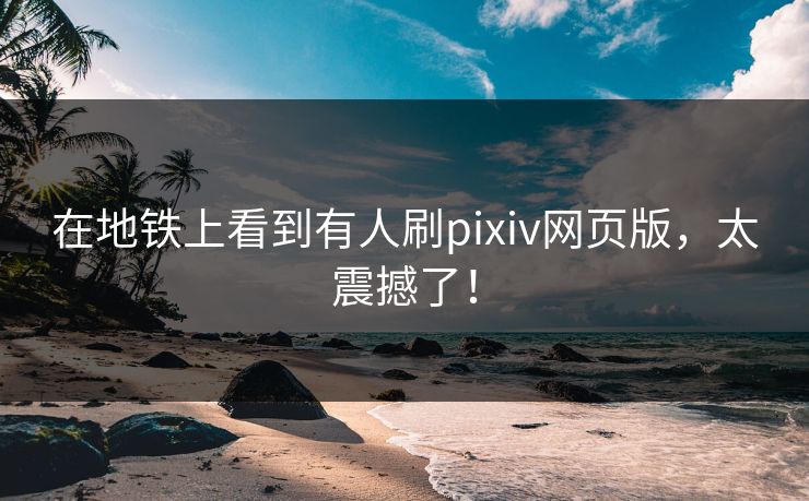 在地铁上看到有人刷pixiv网页版，太震撼了！