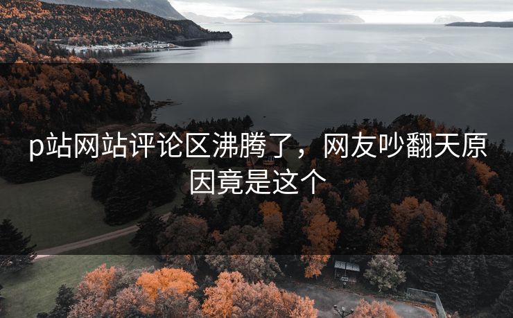 p站网站评论区沸腾了，网友吵翻天原因竟是这个