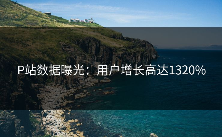 P站数据曝光：用户增长高达1320%