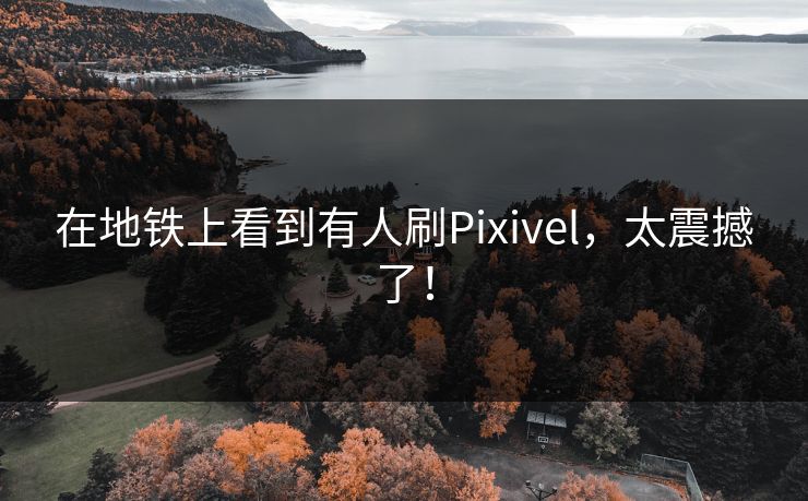 在地铁上看到有人刷Pixivel，太震撼了！