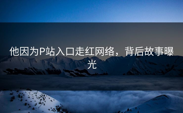 他因为P站入口走红网络，背后故事曝光
