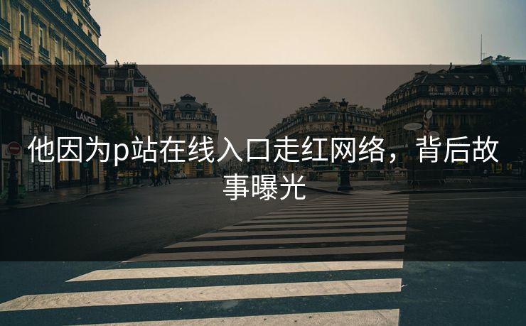 他因为p站在线入口走红网络，背后故事曝光