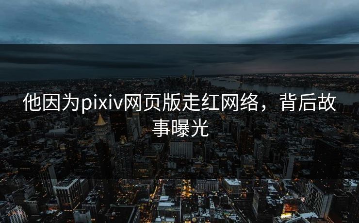 他因为pixiv网页版走红网络，背后故事曝光
