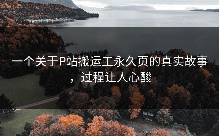 一个关于P站搬运工永久页的真实故事，过程让人心酸