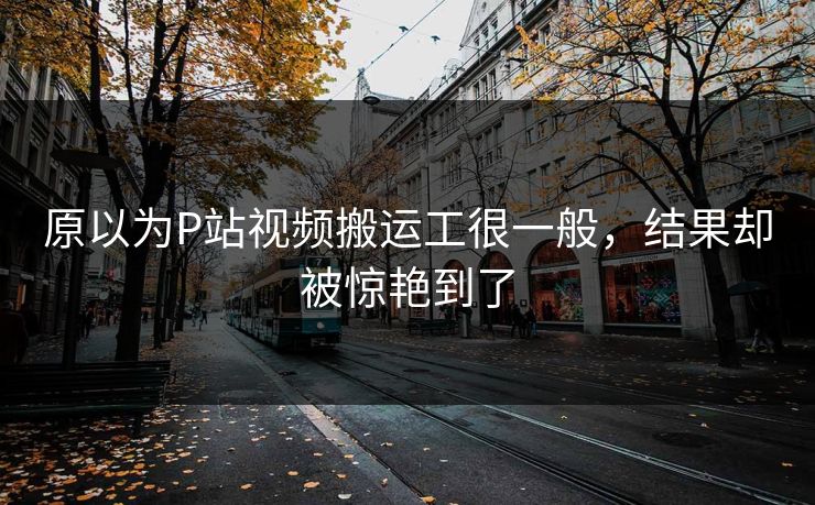原以为P站视频搬运工很一般，结果却被惊艳到了