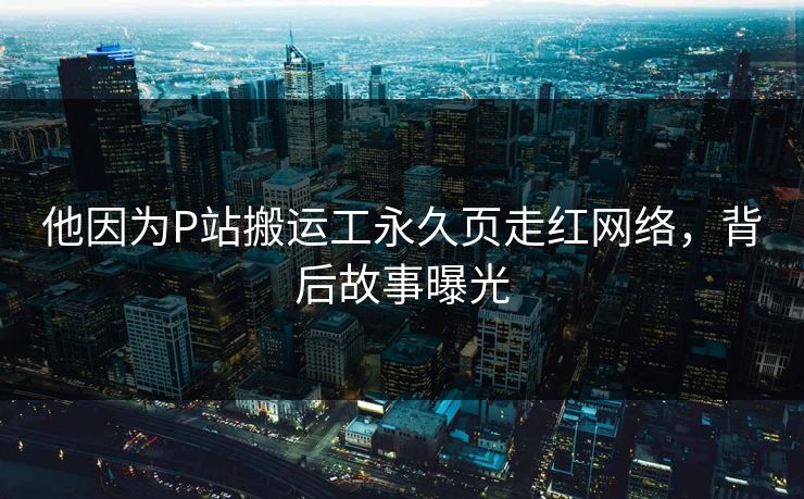 他因为P站搬运工永久页走红网络，背后故事曝光