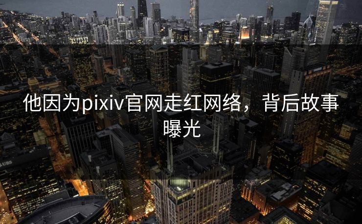 他因为pixiv官网走红网络，背后故事曝光