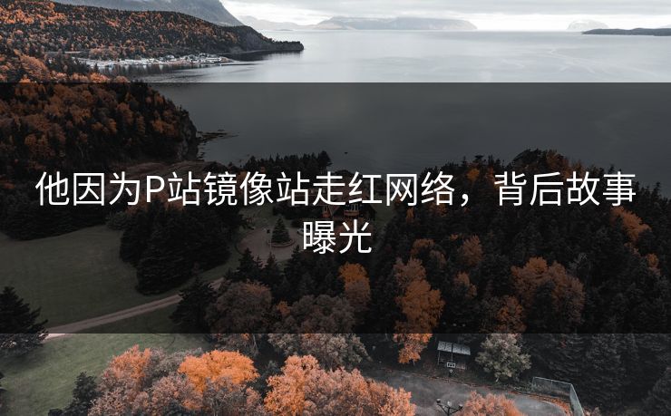 他因为P站镜像站走红网络，背后故事曝光