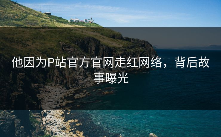 他因为P站官方官网走红网络，背后故事曝光