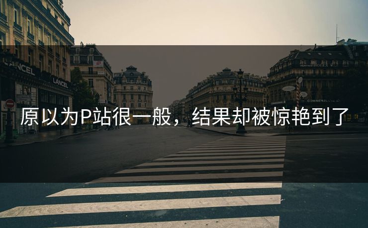 原以为P站很一般，结果却被惊艳到了