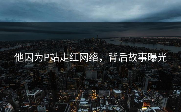他因为P站走红网络，背后故事曝光