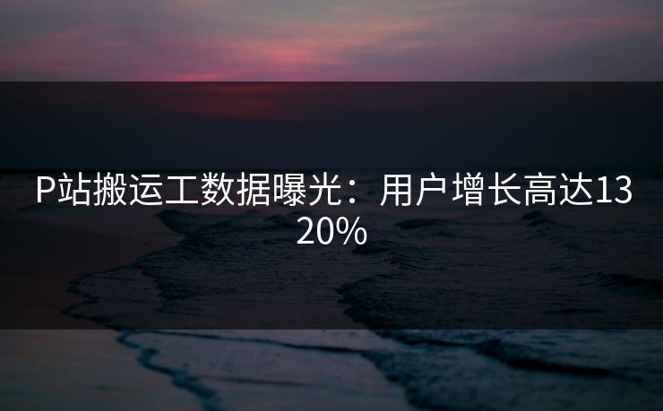 P站搬运工数据曝光：用户增长高达1320%