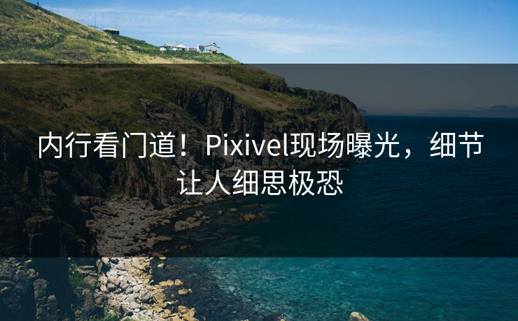 内行看门道！Pixivel现场曝光，细节让人细思极恐