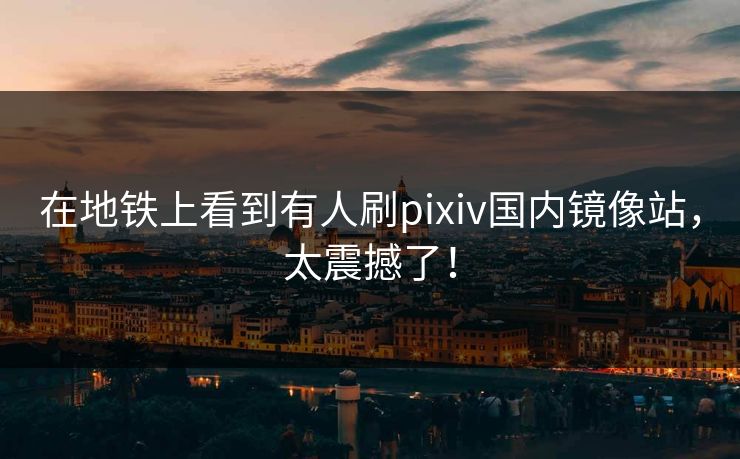 在地铁上看到有人刷pixiv国内镜像站，太震撼了！