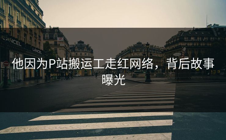 他因为P站搬运工走红网络，背后故事曝光