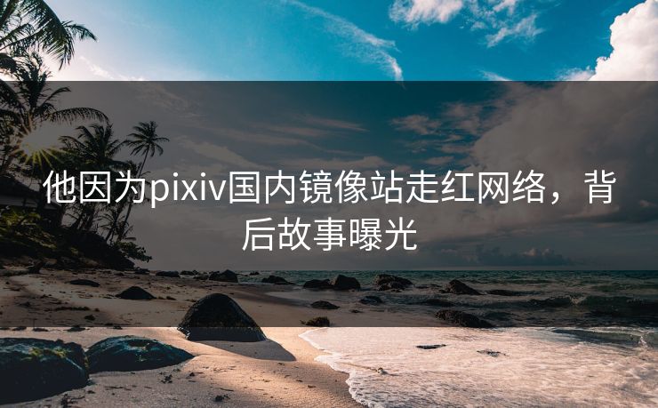 他因为pixiv国内镜像站走红网络，背后故事曝光