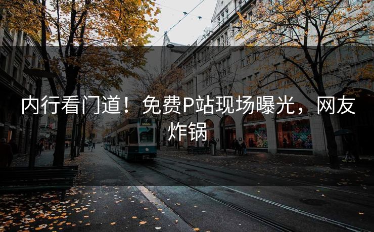 内行看门道！免费P站现场曝光，网友炸锅