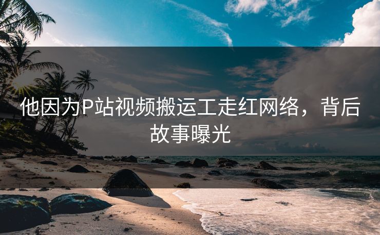 他因为P站视频搬运工走红网络，背后故事曝光