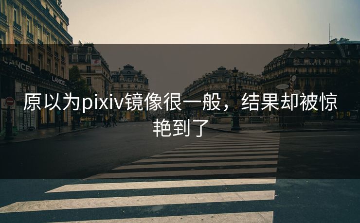 原以为pixiv镜像很一般，结果却被惊艳到了