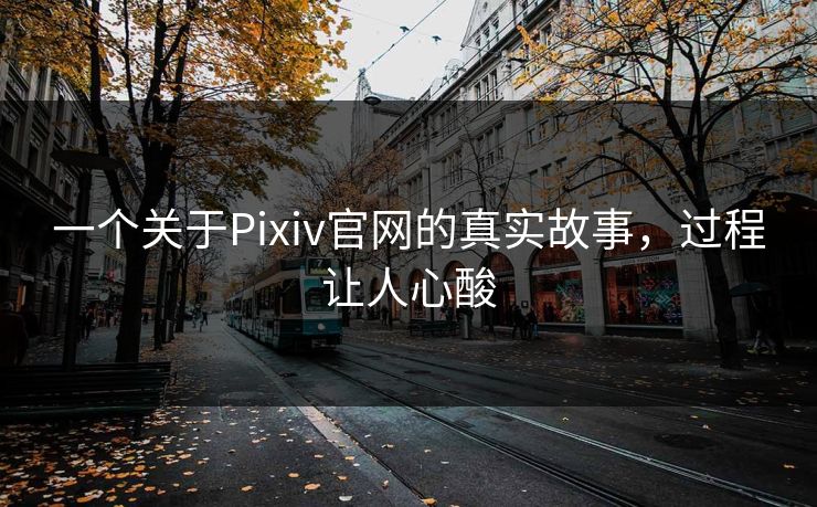 一个关于Pixiv官网的真实故事，过程让人心酸