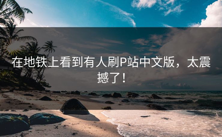 在地铁上看到有人刷P站中文版，太震撼了！