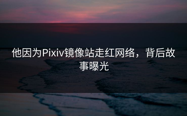 他因为Pixiv镜像站走红网络，背后故事曝光