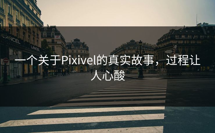 一个关于Pixivel的真实故事，过程让人心酸
