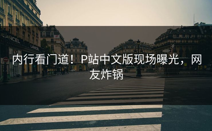 内行看门道！P站中文版现场曝光，网友炸锅