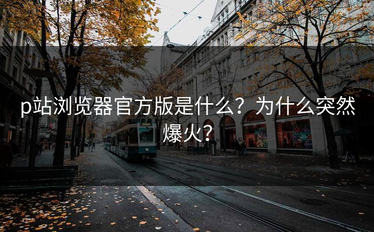 p站浏览器官方版是什么？为什么突然爆火？